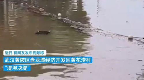 涝视频,揭秘短视频时代的潮流与魅力